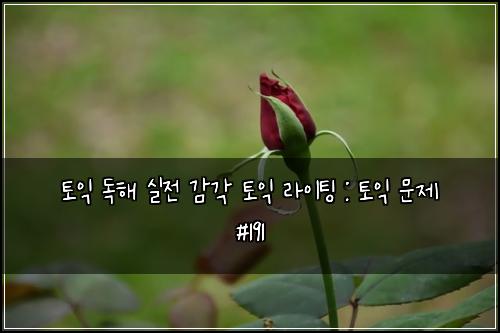 토익 독해 실전 감각 토익 라이팅 : 토익 문제 #191