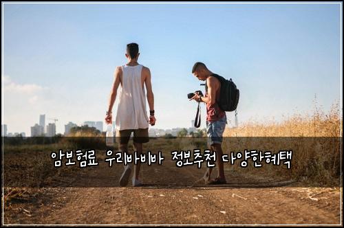 암보험료 우리바비바 정보추천 다양한혜택