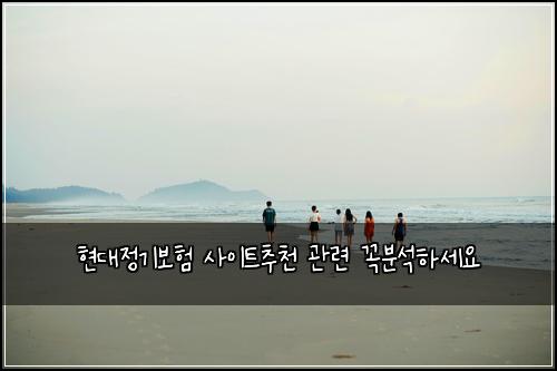 현대정기보험 사이트추천  관련 꼭분석하세요