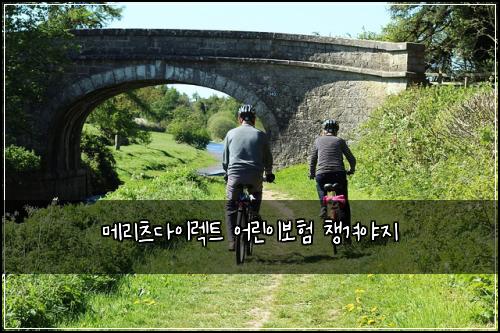 메리츠다이렉트 어린이보험 챙겨야지 