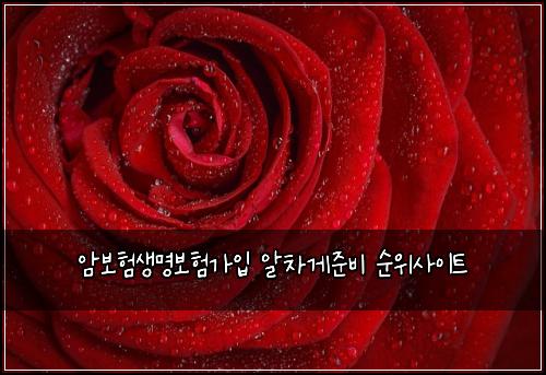 ์๋ณดํ์๋ช
๋ณดํ๊ฐ์
์์ฐจ๊ฒ์ค๋น ์์์ฌ์ดํธ