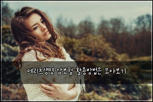 메리츠생명 암보험 활용방법은  모아보기