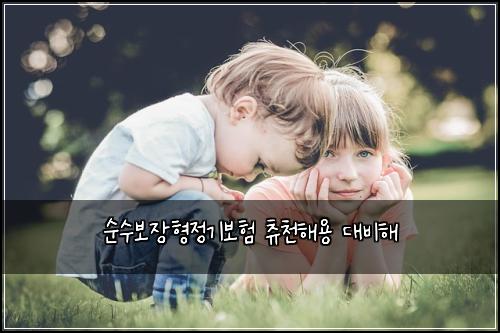 순수보장형정기보험 츄천해용  대비해