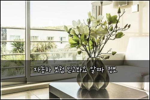 자동차 보험 믿고봐요  알짜 정보