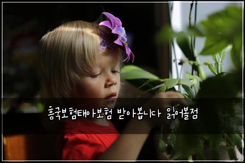 흥국보험태아보험 받아봅니다 읽어볼점