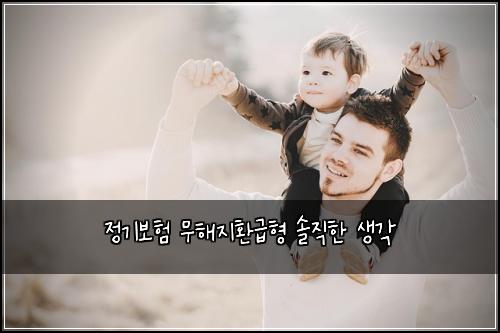 정기보험 무해지환급형 솔직한 생각