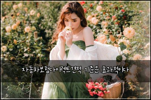 ์๋์ฐจ๋ณดํ๋ค์ด๋ ํธ๊ฒฌ์ ๊ธฐ์ค์ ํจ๊ณผ์ ์ด๋ค
