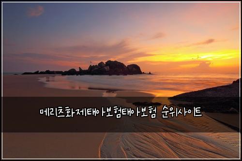 메리츠화제태아보험태아보험 순위사이트