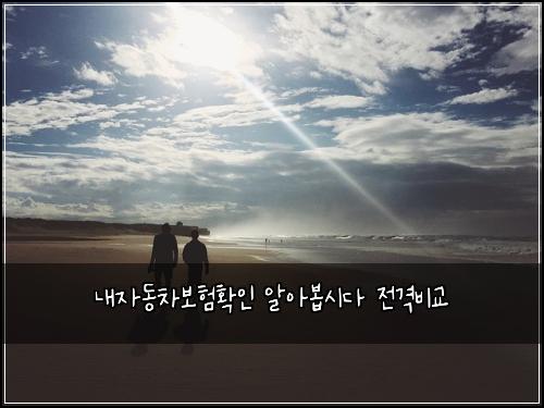 내자동차보험확인 알아봅시다 전격비교