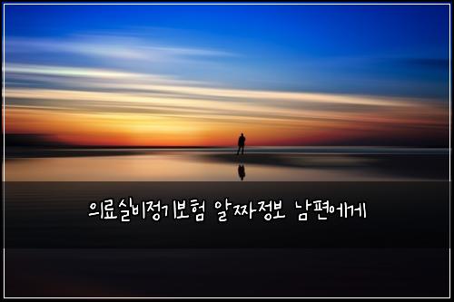 의료실비정기보험 알짜정보  남편에게