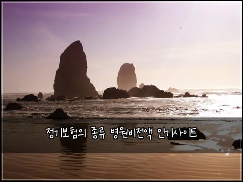 정기보험의 종류 병원비전액 인기사이트