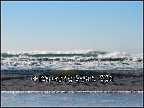 에이스화재암보험 득템해요  꼼꼼히