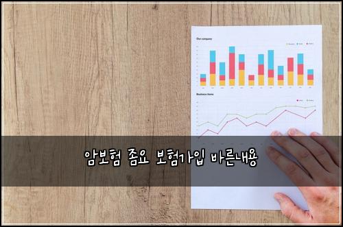 암보험 좀요 보험가입 바른내용