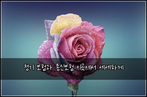 ์ ๊ธฐ ๋ณดํ๊ณผ ์ข
์ ๋ณดํ ์ด๊ณณ์์ ์ธ์ธํ๊ฒ