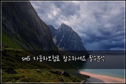 sm5 자동차보험료 참고하세요 필수분석