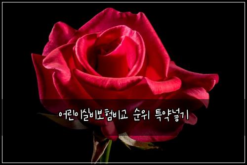 ์ด๋ฆฐ์ด์ค๋น๋ณดํ๋น๊ต ์์ ํน์ฝ๋ฃ๊ธฐ