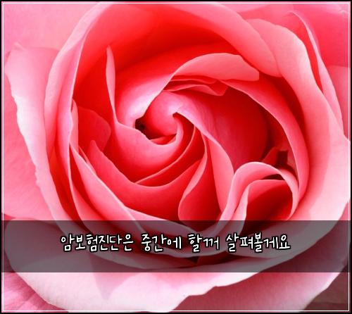 암보험진단은 중간에 할꺼 살펴볼게요