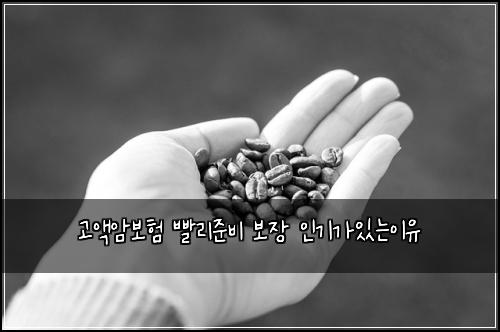 고액암보험 빨리준비  보장 인기가있는이유