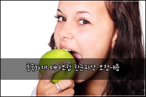 흥국화재 태아보험 한눈파악  보장내용
