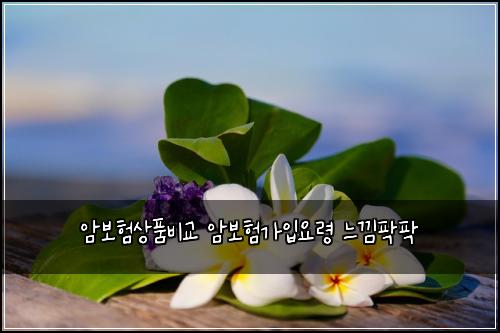 암보험상품비교 암보험가입요령 느낌팍팍