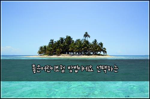 ์ข์์ด๋ฆฐ์ด๋ณดํ ๋ฐฉ๋ฒ์ด์์ ์ ํํ๋
