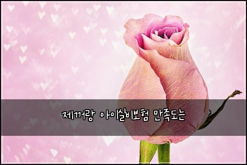 제꺼랑 아이실비보험 만족도는 