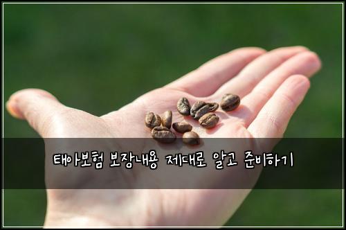 태아보험 보장내용 제대로 알고 준비하기