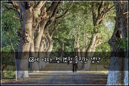 68세 여자 정기보험 솔직한 생각