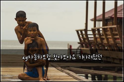 ag์๋์ฐจ๋ณดํ ์ฐพ์๋ณด์์ ๊ธฐ๋ค๋ ค์๋