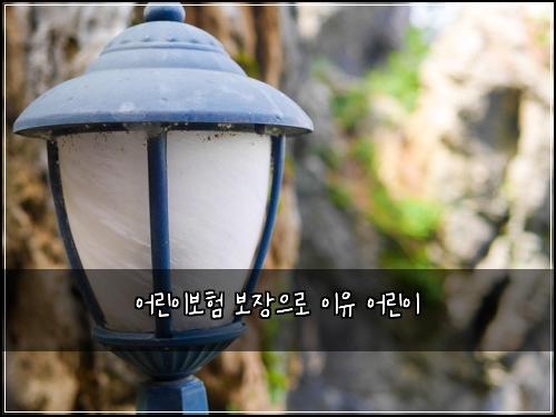 어린이보험 보장으로  이유 어린이