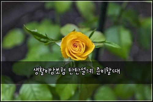 생활비암보험 탄탄설계  준비할때