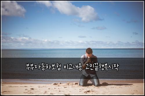 ๋ถ๋ถ์๋์ฐจ๋ณดํ ๋น๊ต๋ด์ฉ ๊ณ ๋ฏผ๋ํ๋ณต์์