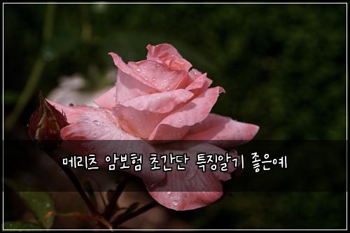 메리츠 암보험 초간단  특징알기 좋은예