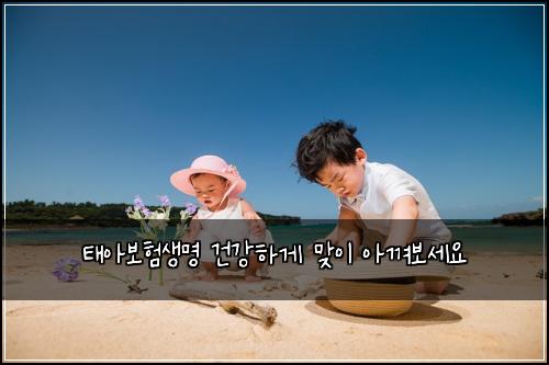 태아보험생명 건강하게 맞이 아껴보세요