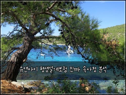 유앤아이 평생설계보험 진짜 속사정 분석