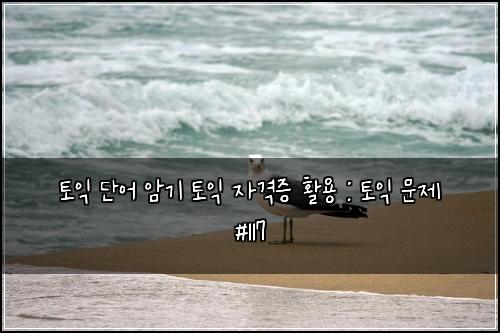 토익 단어 암기 토익 자격증 활용 : 토익 문제 #117