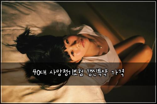 40대 사망정기보험 갱신특약  가격
