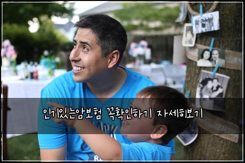 인기있는암보험 꼭확인하기  자세히보기