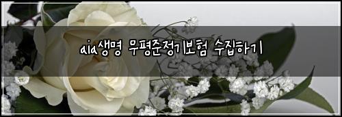 aia์๋ช
๋ฌดํ์ค์ ๊ธฐ๋ณดํ ์์งํ๊ธฐ