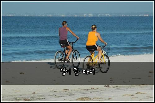 영어 한 마디