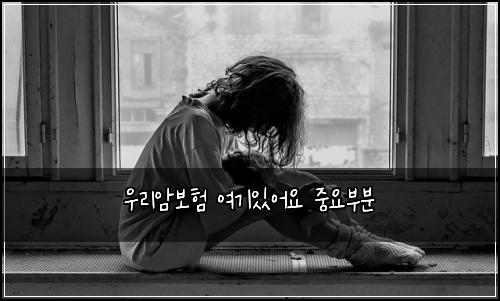 우리암보험 여기있어요  중요부분