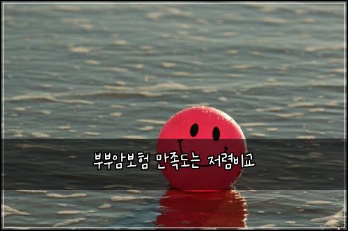 부부암보험 만족도는  저렴비교