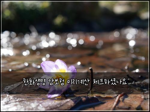 한화생명 암보험 미리계산  체크하셨나요