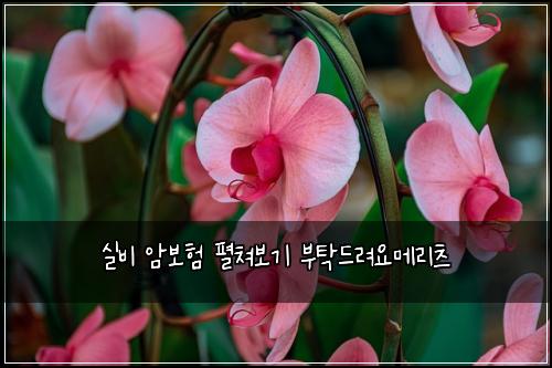 ์ค๋น ์๋ณดํ ํผ์ณ๋ณด๊ธฐ ๋ถํ๋๋ ค์๋ฉ๋ฆฌ์ธ