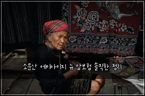 소문난 에이아이지 뉴 암보험 솔직한 정리