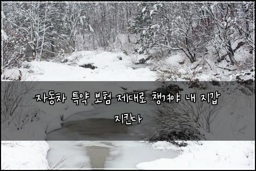 자동차 특약 보험 제대로 챙겨야 내 지갑 지킨다