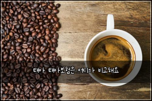 νμ νμ보νμ μ΄λκ° λΉκ΅ν΄μ