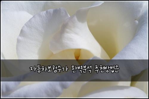 자동차보험수가 완벽분석 추천방법은