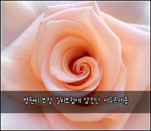 병원비 보장 실비보험에 암진단 서두르세용