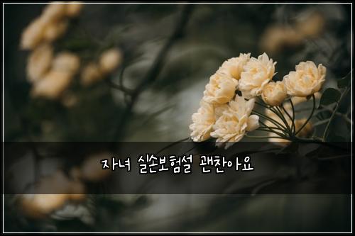 자녀 실손보험설 괜찬아요